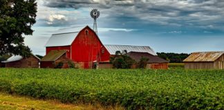 Free risk-management workshop for farmers Monday