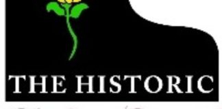 Council seeking audit of Delta Grand funding