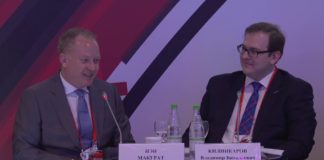 Риск менеджмент и управление проектами ГЧП