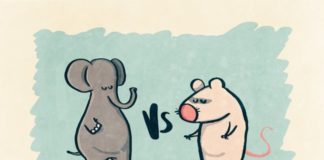 Why risk management in SME is better than in large corporations