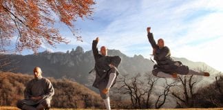 ВЗГЛЯД НА МЕНЕДЖМЕНТ ИЗ ШАОЛИНЯ Дорогие друзья! Приглашаю Вас на Уникальный Ма…