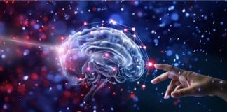 Роль психологии в риск менеджменте