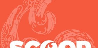 SecOps NZ Acquires Risk Management Specialist Prima Solutions