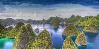 Приглашение. Обмен опытом с риск менеджерами из Индонезии