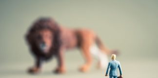 PRMIA Risk Management Challenge