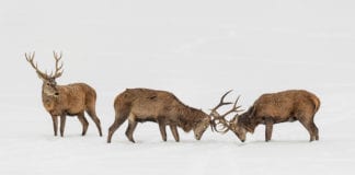 How to (Actually) Change Someone’s Mind