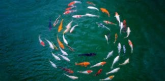 Why Your Team Should Practice Collective Mindfulness