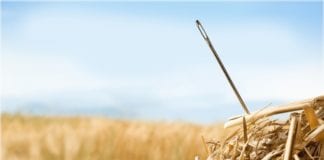 Due Diligence and Corporate Oversight (Some Adult Supervision Required)