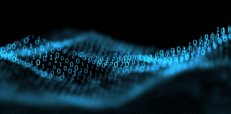 IAM: A Critical Element of Corporate Risk Literacy