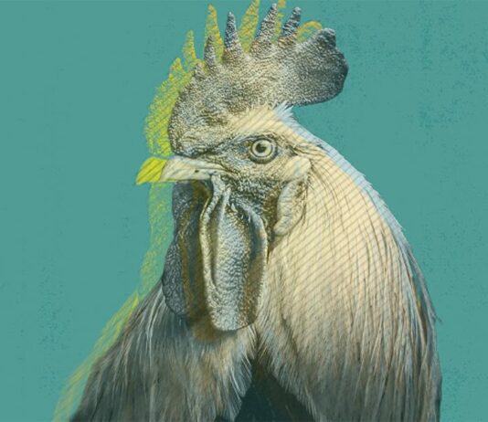 Playing Chicken: DOJ Presses on With High-Profile Antitrust Cases Despite Series of Defeats