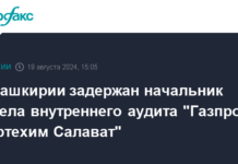 В Башкирии задержан начальник отдела внутреннего аудита "Газпром нефтехим Салават" – Интерфакс