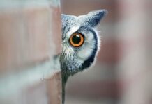 Эстетика – Health of Your Business