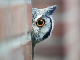 Эстетика – Health of Your Business