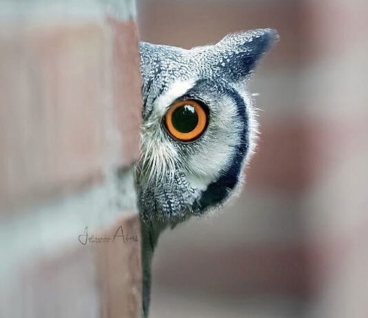 Эстетика – Health of Your Business