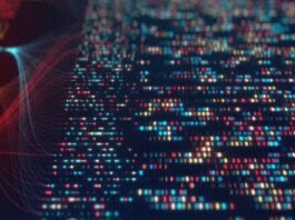 Data Authenticity & Accountability Crucial in the AI Age