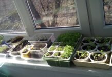 Карты рисков, стратегии и ассоциации: как и зачем использовать GR