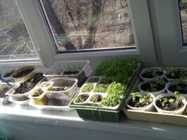 Карты рисков, стратегии и ассоциации: как и зачем использовать GR