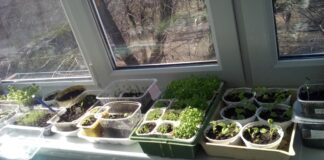 Карты рисков, стратегии и ассоциации: как и зачем использовать GR